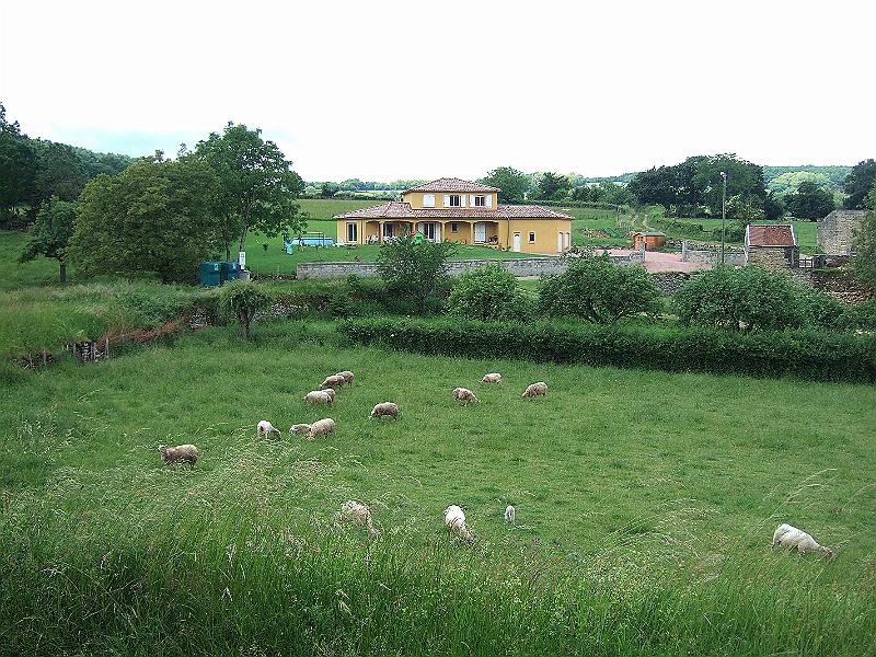 2010-05- (74).JPG